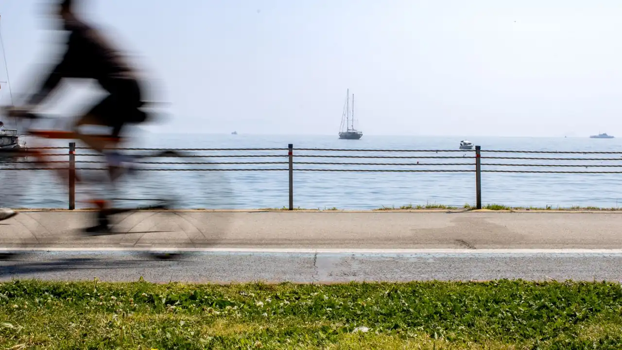 搜索91免费污这类平台时需要了解的实际问题与风险